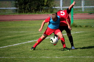 爱游戏下载-中国篮球职业联赛俱乐部运营模式创新及管理经验分享，篮球俱乐部运营与管理