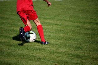 爱游戏app-中国篮球俱乐部青训体系绩效评估方法，篮球俱乐部青训营